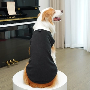 Detail of warm black pet vest with D-ring buckle on a border collie near a piano