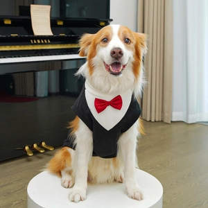 Detail shot of a black and white pet tuxedo vest with a red bowtie on a golden retriever