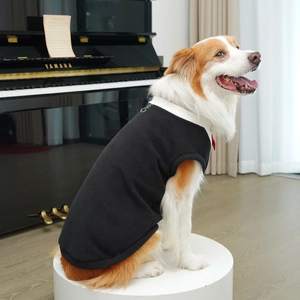 Detail of black pet vest with white collar and metal D-ring for dog traction