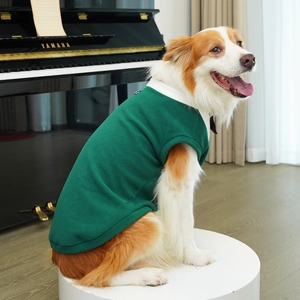 Close-up of green fleece pet vest with white collar and black bowtie on a dog