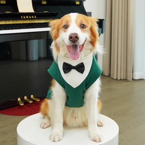 Detail of green pet tuxedo vest with white shirt collar and black bowtie for dogs