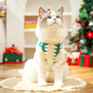 Dettaglio del gilet natalizio in peluche con motivo a albero su un gatto ragdoll in stile festivo