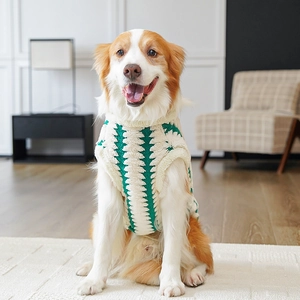 Detail showing the plush ivory and green zigzag texture of a warm dog fleece vest