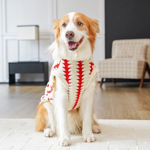 Close-up of red and white knit pet sweater with geometric patterns on a medium dog