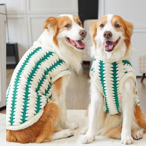 Detail of green and white zigzag knit sweater for large dogs in a cozy home setting