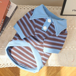 Detail of striped pet polo shirt with two white buttons on a soft lace background