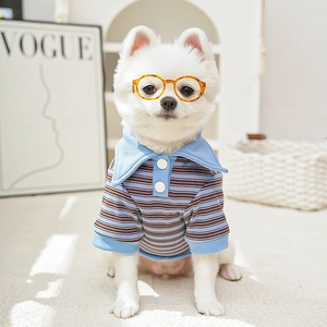 Close-up of striped pet Polo shirt with stylish tortoiseshell glasses in cozy setting