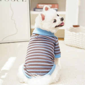 Detail view of the metal D-ring buckle and blue polo collar on a striped dog shirt