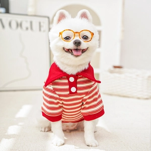 Close-up of a red and white striped polo shirt for pets with yellow round glasses