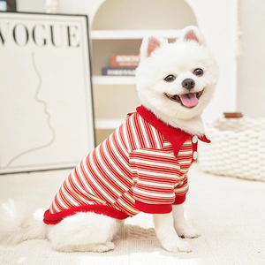 Detail view of red and white striped pet Polo shirt on a small white dog