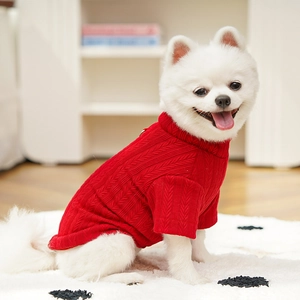 Close-up of red cable knit pet sweater with turtleneck on a small white dog