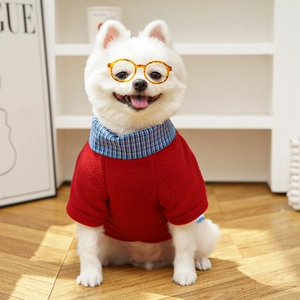 Detail of red fleece pet sweatshirt with blue plaid collar and decorative round glasses
