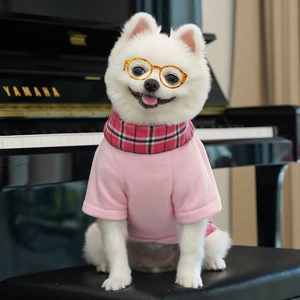 Pink fleece pet t-shirt with red plaid scarf and round glasses on a Pomeranian