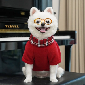 Close-up of dog wearing red fleece sweater with plaid scarf and round leopard glasses