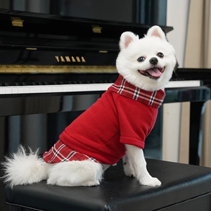 Detail of red fleece pet sweater with plaid collar on a small dog sitting on a piano