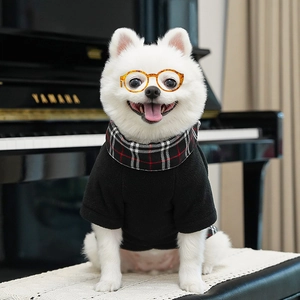 Detail of pet college style fleece sweatshirt with plaid collar and orange glasses