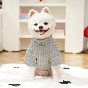 Close-up of grey knit pet sweater with vertical texture on a small dog for autumn