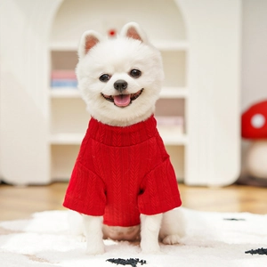 Close-up of a Pomeranian dog wearing a vibrant red knitted sweater for pets