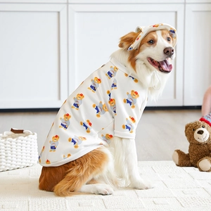 Dettaglio dell'outfit estivo per cani con maglietta a motivi orsetto e cappello coordinato