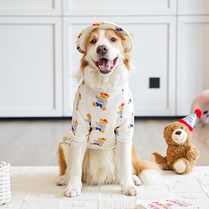 Dettaglio di un cane grande che indossa un gilet crema con orsetti e cappello