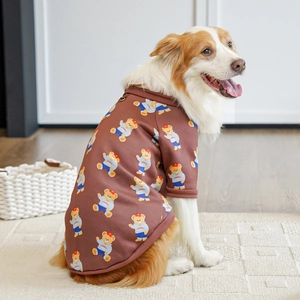 Dettaglio di Border Collie con felpa in pile marrone e stampa di un tenero orso