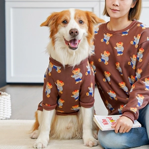 Felpe coordinate per cane e proprietario in marrone con stampe di orsetti carini