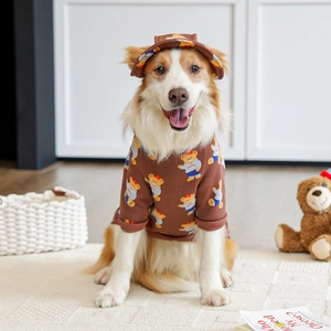 Set felpa e cappellino marrone con stampa orsetto per Labrador e cani medi