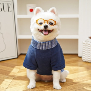 Detail of navy fleece pet sweater with plaid collar and decorative glasses for dogs