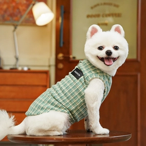 Dettaglio del gilet scozzese verde per cani con etichetta Fashion in un caffè accogliente