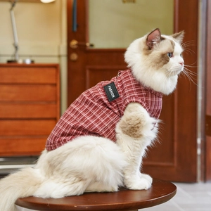 Dettaglio del gilet a quadri rossi per animali con etichetta FASHION nera su tessuto