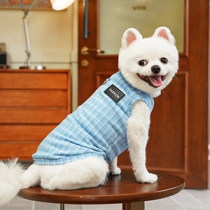Dettaglio del gilet a quadri blu per cani con etichetta Fashion su un piccolo cane