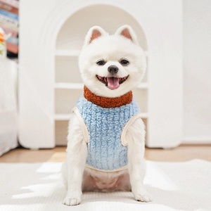 Close-up of a white dog wearing a light blue lamb fleece winter vest with a brown turtleneck