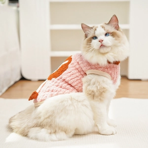 Close-up of pink fleece pet sweater with ribbed edges on a Ragdoll cat model