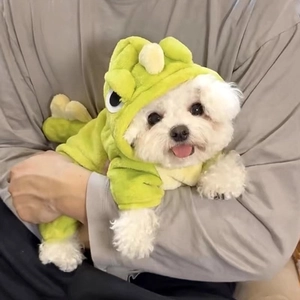 Détail du costume de dinosaure vert pour chien en polaire corail douce et chaude