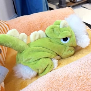 Pull dinosaure vert chaud en polaire douce pour chats et petits chiens de salon