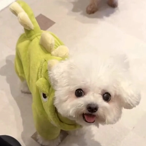 Détail du costume de dinosaure en flanelle verte avec nageoires pour petit chien