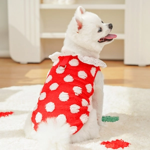 Détail du gilet rouge à pois pour animal avec col en dentelle et anneau en D sur chien