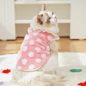 Gros plan du gilet rose à pois pour chat avec col en dentelle et attache en D métallique