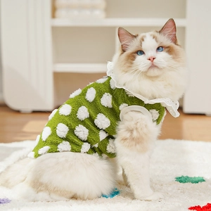 Détail de gilet pour chat en laine d'agneau verte à pois avec col en dentelle douce