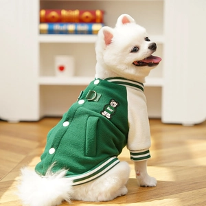 Detail of warm fleece pet varsity jacket with D-ring and cute bear embroidery on dog