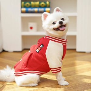 Detail of red fleece pet baseball jacket with Bear embroidery on a Pomeranian