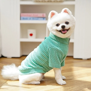 Detail of mint green pet sweater with wavy texture, high neck, and back D-ring