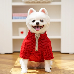 Detail of red knit pet sweater with half-zipper collar on a white Pomeranian dog