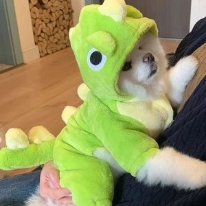 Costume De Dinosaure Abeille Pour Animaux De Compagnie Combinaison Chaude En Flanelle Douce Pour Chiens Chats