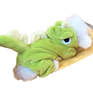 Costume de dinosaure vert pour chiens et chats, pyjama d'hiver chaud en flanelle douce
