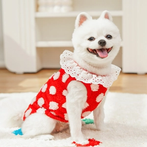 Gilet rouge à pois pour chien avec col en dentelle blanche et velours corail doux