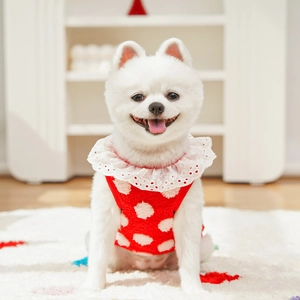 Gros plan du gilet rouge pour chien à pois blancs et détails en dentelle blanche délicate