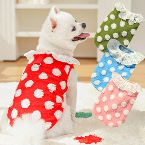 Close-up of polka dot pet vest showing lace collar details and metal D-ring attachment