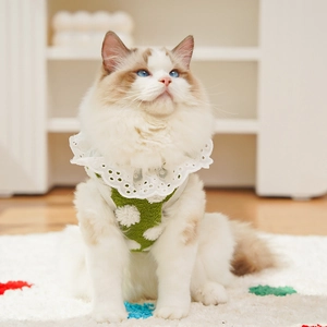 Détail d'un bavoir en polaire verte avec col en dentelle et pompons pour chats et chiens