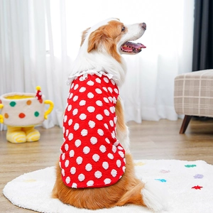 Detail of red pet vest with white polka dots and lace collar on a Border Collie dog
